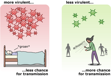 Illustration shows that more virulent viruses have less chance of transmission, while less virulent viruses have more chance for transmission.