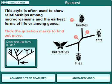 Clicking on the starburst tree leads users to this page of the Field Guide that explains the basic features of the starburst tree.