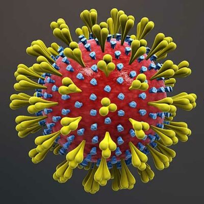 An illustration of the coronavirus