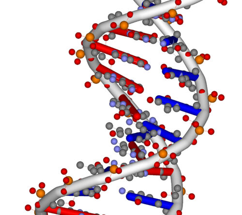 Computer-rendered image of a random DNA helix.