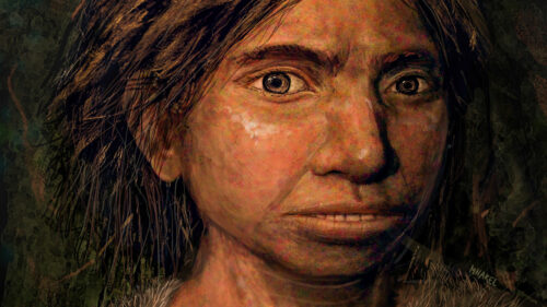 An artist's reconstruction of a Denisovan girl. 