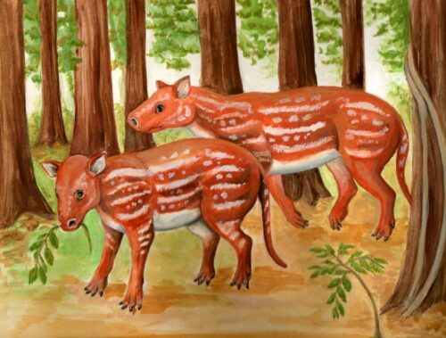 Artist's depiction of Cambaytherium thewissi