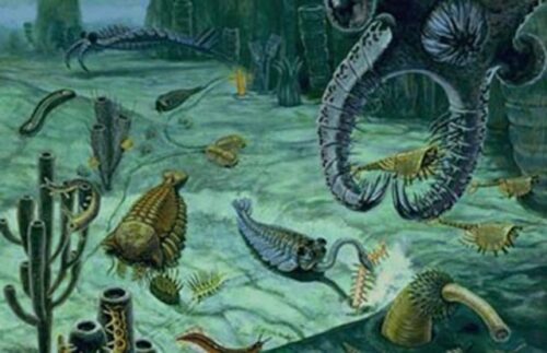 Illustrated depiction of Burgess Shale during Cambrian explosion.