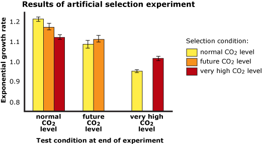 Graph showing results of artificial selection experiments comparing present and future CO2 levels. 