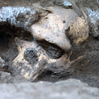The 1.8-million-year-old skull was found in 2005 in the Republic of Georgia