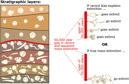 Illustration of stratigraphic layers with a description on the right that details how the layers would look if there were true mass extinctions or if the record bias is correct for explaining extinction.