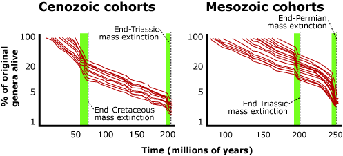 Two graphs with x-axis time (moving linearly from 0 to 250 million years) and y-axis percent of original genera alive.