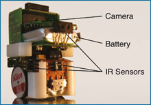 The type of robot used by Swiss researchers to simulate biological evolution. Infrared distance sensors (IR) allow the robot to detect food disks.