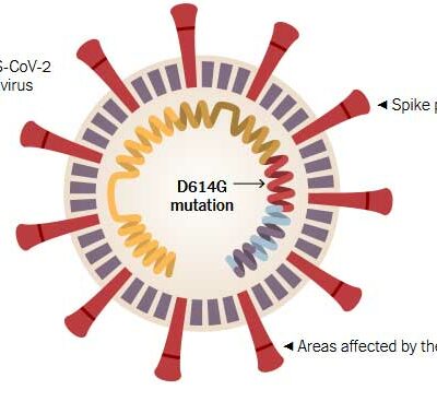 An illustration of the SARS-CoV-2 Coronavirus.