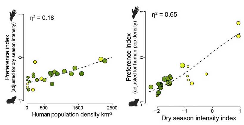 Data on how mosquitoes' preference for humans (represented by a human hand silhouette) or non-human animals (guinea pig silhouette) relate to the human population density and climatic conditions at the collection site. Note that higher human population density and more intense dry seasons are associated with mosquito colonies that more strongly prefer humans. 