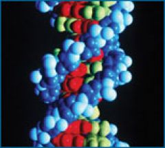3D rendering of DNA double helix.
