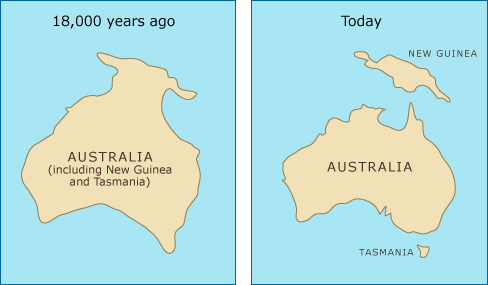 Map (left) shows Australia, New Guinea, and Tasmania as one mass 18,000 years ago. Map (right) shows Australia, New Guinea, and Tasmania today. New Guinea and Tasmania have since separated from Australia. 