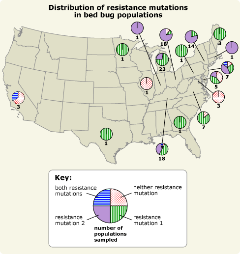 Map of the United States showing the distribution of resistance mutations in bed bug populations.