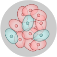 Illustration shows multiple red cells, three blue cells.