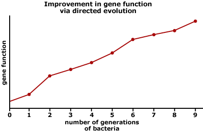 Graph showing the improvement in gene function via directed evolution. Y-axis shows gene function, x-axis shows number of generations of bacteria. As the number of generations of bacteria increases, so does gene function. 