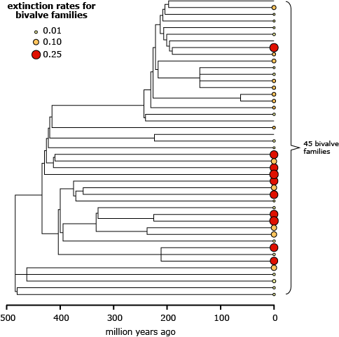 Evolutionary tree showing extinction rates for bivalve families.