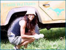 A woman crouches over some grass, looking at the camera. A safari truck is parked behind her.