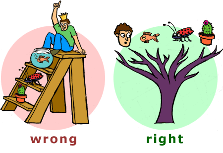 Ilustration that shows evolution is more like a tree than a ladder.
