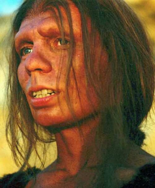 A reproduction of a Neanderthal woman. 