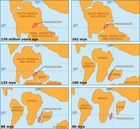 Series of maps showing Madagascar's split from supercontinent Gandwana into the island it is today. 