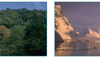 Left, photo of tropical forest. Right, photo of glaciers in Antarctica.