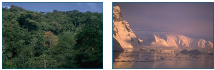 Left, photo of tropical forest. Right, photo of glaciers in Antarctica.