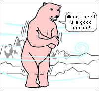 An illustration of a polar bear without a fur coat stands surrounded by ice and cold air. It is shivering and says "What I need is a good fur coat!"