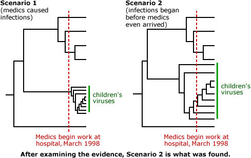 Illustration of scenario 1 (left) and scenario 2 (right). In scenario 1, medics brought infections. In scenario 2, infections began before medics arrived. Scenario 2 was found to be supported by evidence. 