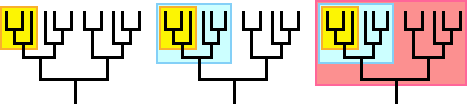 Left, one small clade highlighted yellow. Middle, a clade highlighted blue that has the yellow clade nested within it. Right, a clade highlighted red that has both the yellow and blue clades nested within it. 