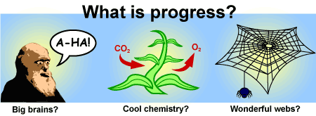 Illustration with heading, "What is progress?" Bottom left is a clip art of perhaps Galileo saying "A-Ha!" and captioned "Big brains?" Bottom middle shows a clip art of a plant absorbing CO2 and releasing O2, captioned "Cool chemistry?" Bottom right shows a clip art of a spider hanging from its web with caption "Wonderful webs?"