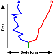 A graph with y-axis time and x-axis body form. In the center of the x-axis, a green line increases with time for a short while. It then splits into a blue line (A) and a red line (B). The blue line decreases in body form, increases again, and continues in a similar zig zag pattern with an overall decrease in body form as time increases. The red line increases in body size with less variation than line A, however there is variation. Overall, line B increases in body form as time increases. 