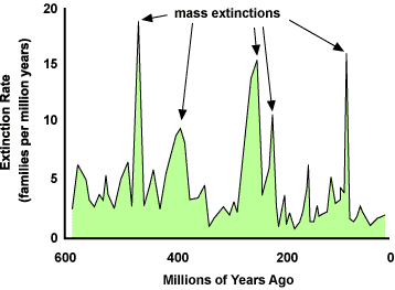 Graph with y-axis Extinction rate (families per million years) and x-axis millions of years ago. Peaks at ~500 mya, 400 mya, 300 mya, ~200 mys, and ~100 mya show mass extinctions. 