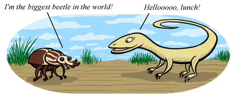 Illustration of, left, a beetle saying, "I am the biggest beetle in the world!" Right, a lizard says, "Hello lunch!"
