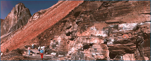 The photo shows a side of a mountain that has a distinct color difference and smooth texture, indicating some kind of mudslide had occured. 