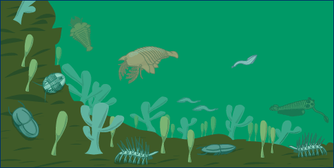 An illustration of an underwater scene with various Cambrian sea creatures.