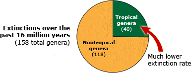 Extinction pie chart