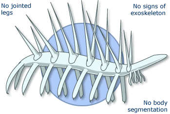 An illustration of the Hallucigenia, worm-like creature with spikes