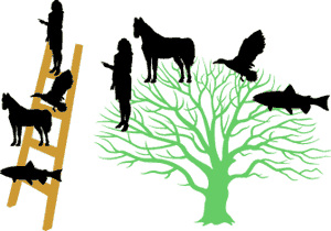 Ladder vs. tree