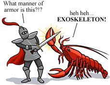 A knight fights a lobster and asks it, "what manner of armor is this?!?" The lobster replies, "heh heh... exoskeleton!"