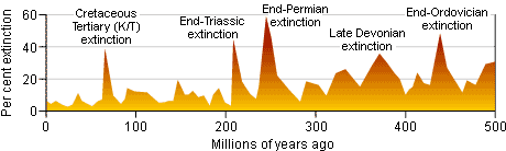Graph showing catastrophic extinction events (red spikes) and constant background extinction (yellow). Y-axis is percent extinction and x-axis is time by millions of year.