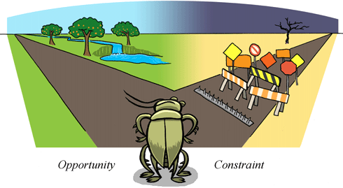 opportunity vs constraint