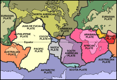 The Earth's crust has been found to be composed of several distinct plates.