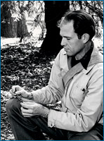 Robert Stebbins examining an Ensatina salamander in 1951.