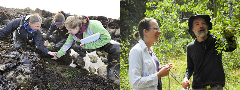Left image: Elizabeth teaching students in the field; right image: Nathan looking for willow beetle