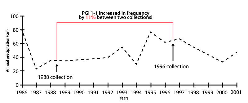 PGI 1-1 increased in frequency by 11% between collections