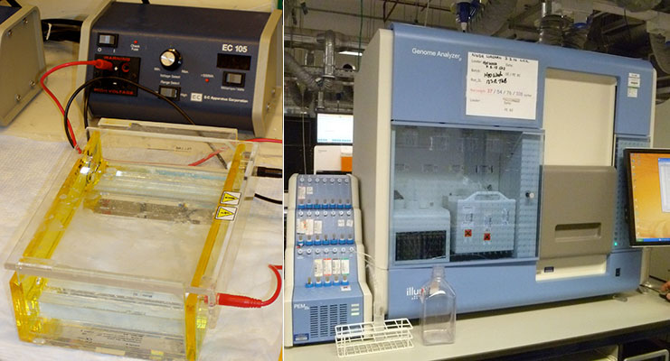 Left, gel electrophoresis; right, gene sequencer.