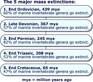 5 major mass extinctions in the history of life on Earth