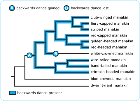 backwards dance