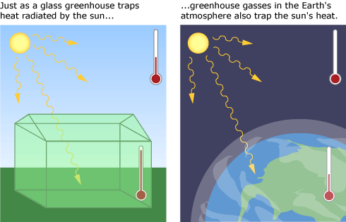 Just as a glass greenhouse traps heat radiated by the sun, greenhouse gasses in the Earth's atmosphere also trap the sun's heat.