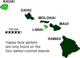 Hawaii map showing occurrence of happy-face spiders